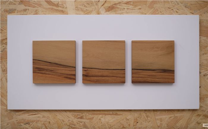 Eva Mechler, Wood as Art (Concept)