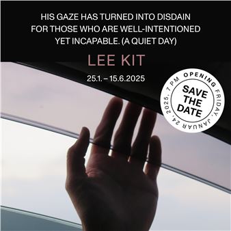 Lee Kit: His Gaze Has Turned Into Disdain for Those Who are Well-Intentioed yet Incapable. (A Quiet Day) - Fridericianum
