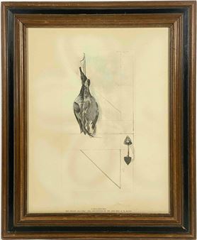 Framed Andrew Wyeth Print Titled ‘Canvasbacks